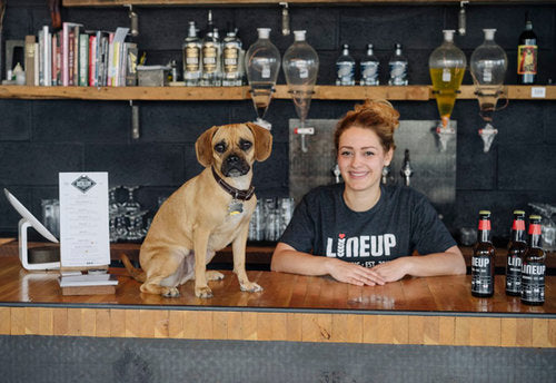 Women in the craft beer brewing industry