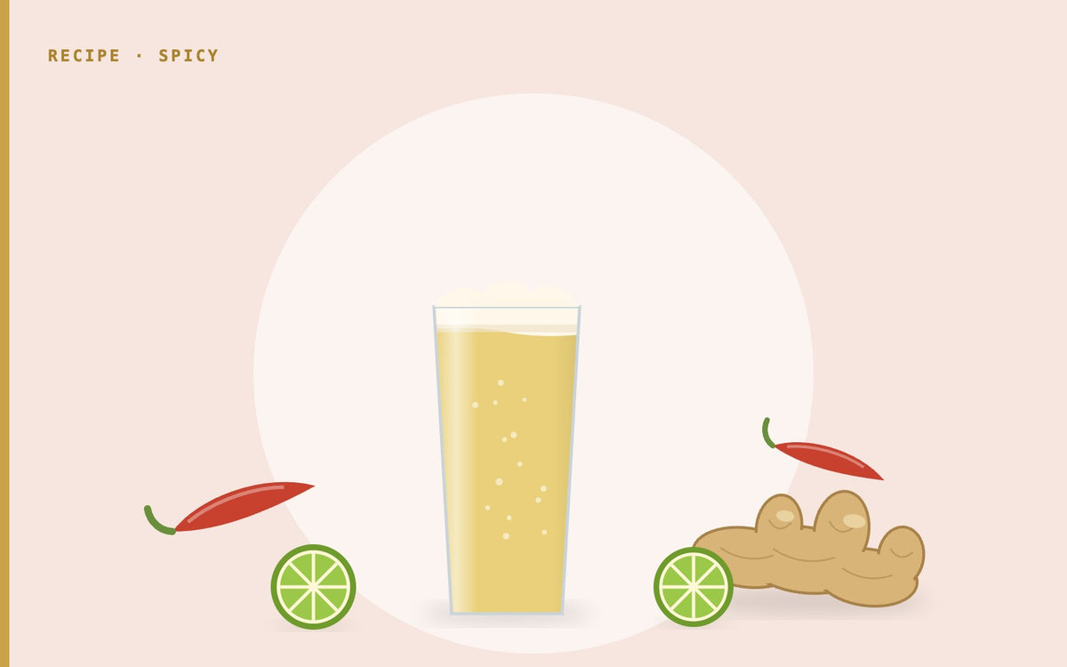 Illustration: spicy ginger beer with lime slices, red chilies and fresh ginger