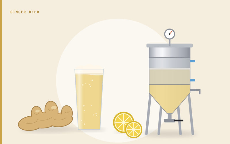 Illustration: a glass of cloudy ginger beer beside a stainless conical fermenter, fresh ginger root and lemon slices
