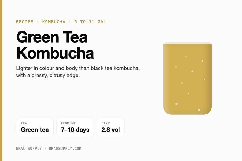 Green Tea Kombucha recipe: green tea, 5 to 31 gallons