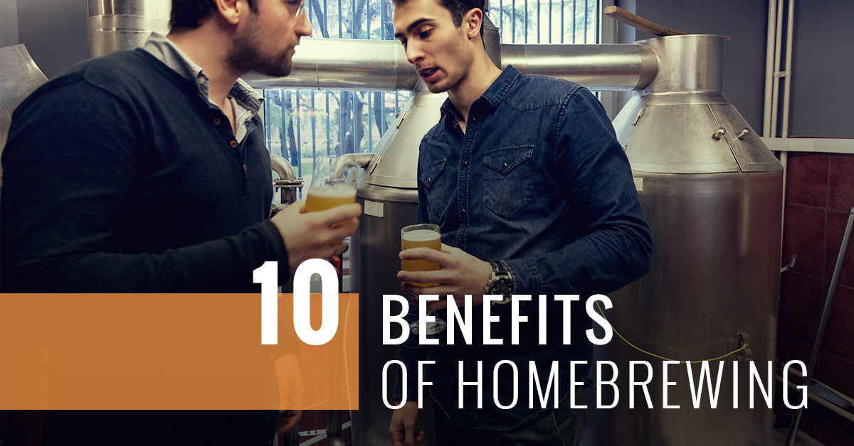 10 benefits of homebrewing(2 guys drinking beer)