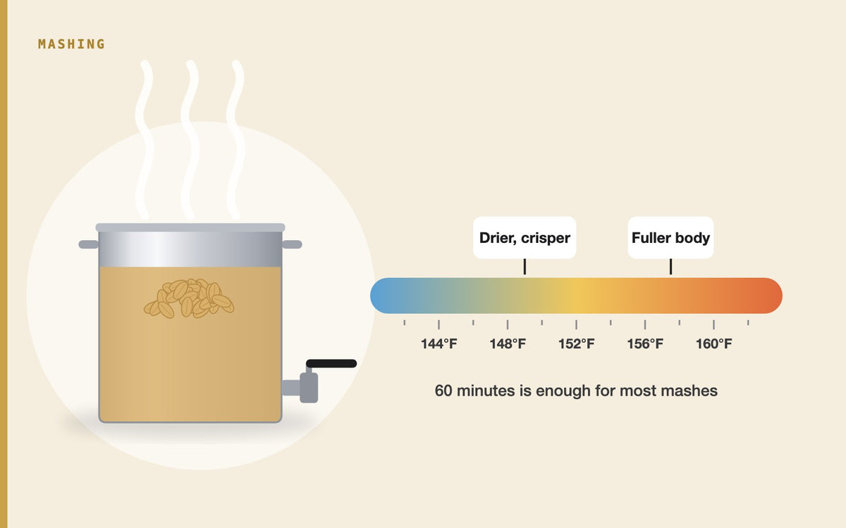 Illustration: Mash Temperature Chart: What Temperature and How Long to Mash