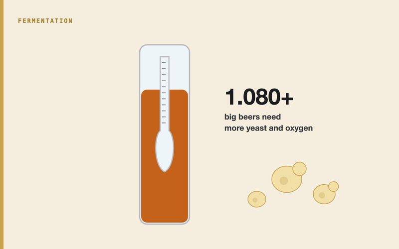 Illustration: High Gravity wort Fermentation: Challenges and Techniques
