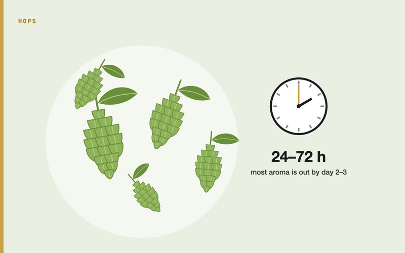 Illustration: How to Achieve Peak Dry Hop Extraction