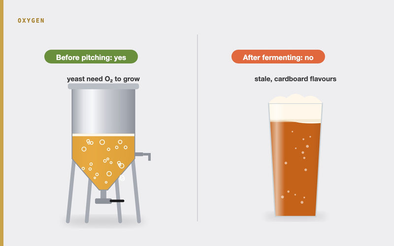 Illustration: The Role of Oxygen in Brewing: Aeration vs. Oxidation