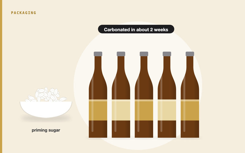 Illustration: How to Bottle Homebrew Beer Properly: Step-by-Step Guide and Priming Sugar Chart