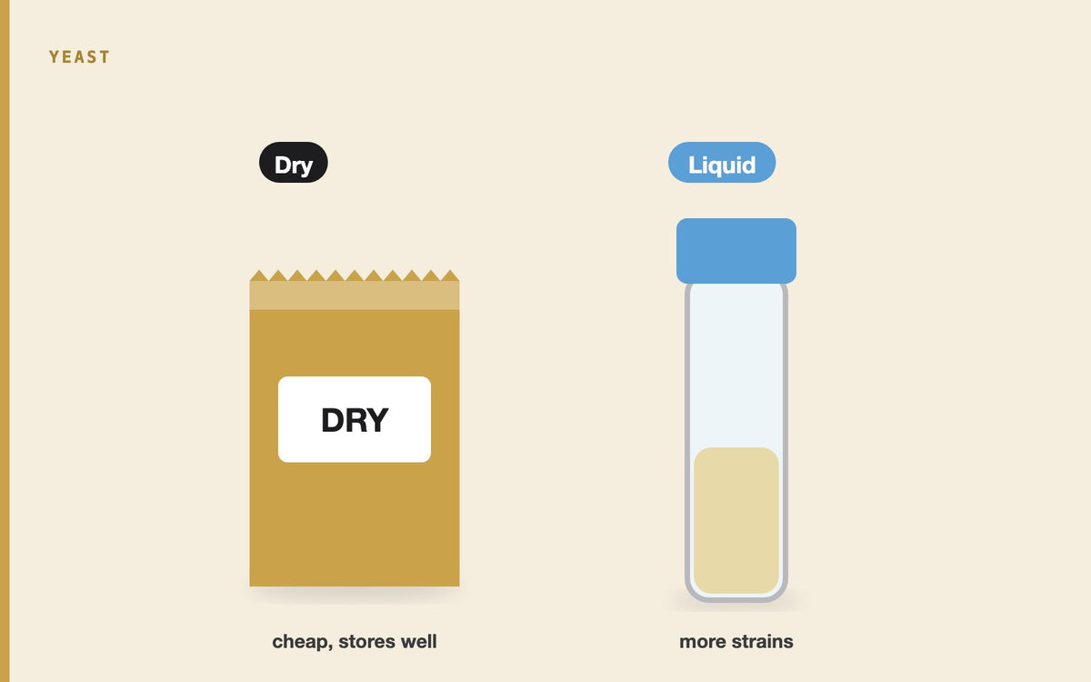 Illustration: Using Dry vs. Liquid Yeast in Brewing