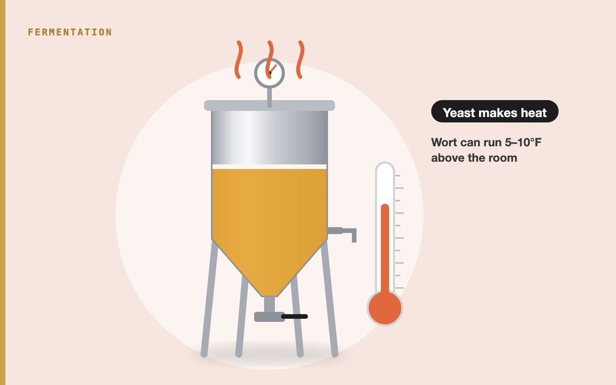Illustration: What Causes a Fermenter to Heat Up?