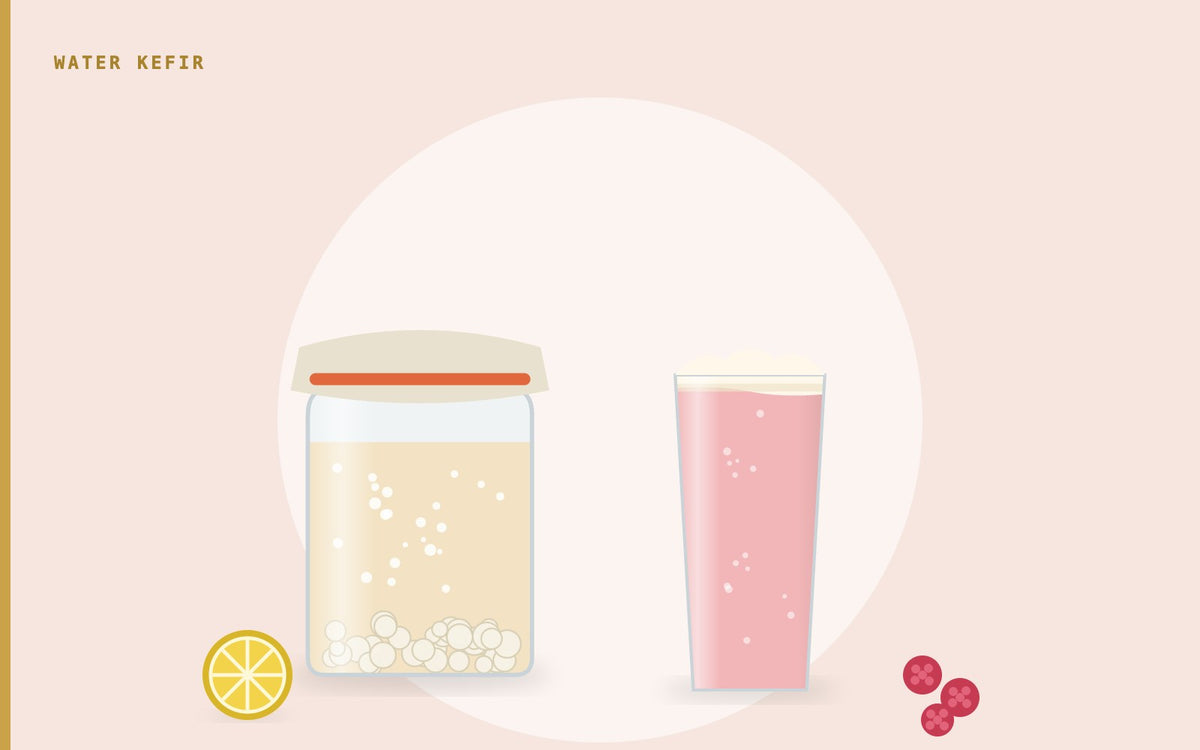 Illustration: a cloth-covered jar of fermenting water kefir with grains at the bottom, a glass of pink water kefir, raspberries and lemon
