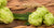 Home Brew Systems: Benefits Of Brew In A Bag Systems