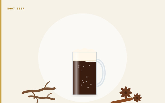 Illustration: a frosty mug of root beer with roots, star anise and a cinnamon stick
