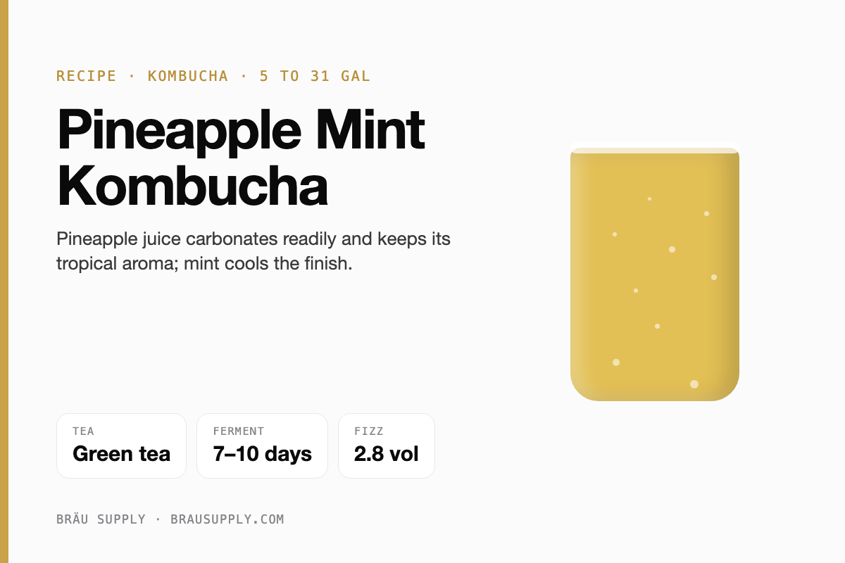 Pineapple Mint Kombucha recipe: green tea, 5 to 31 gallons